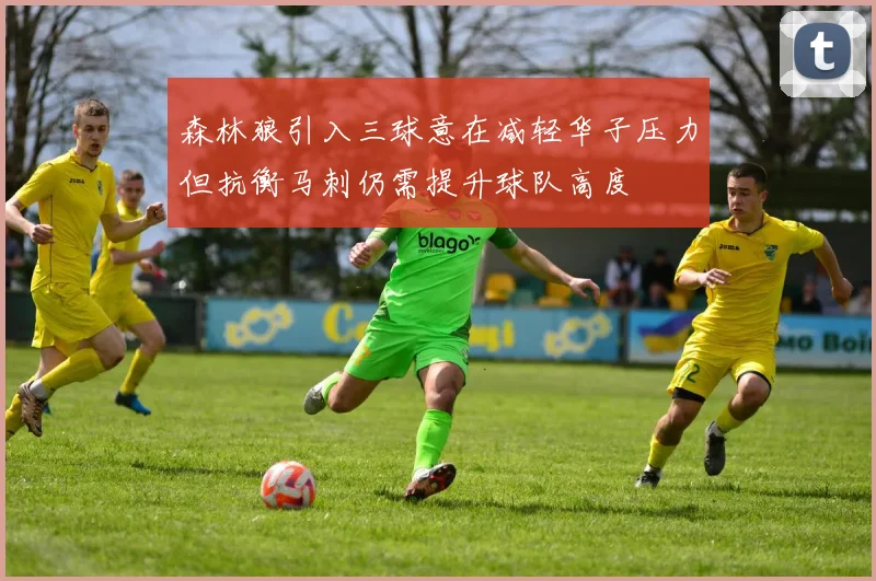 森林狼引入三球意在减轻华子压力但抗衡马刺仍需提升球队高度