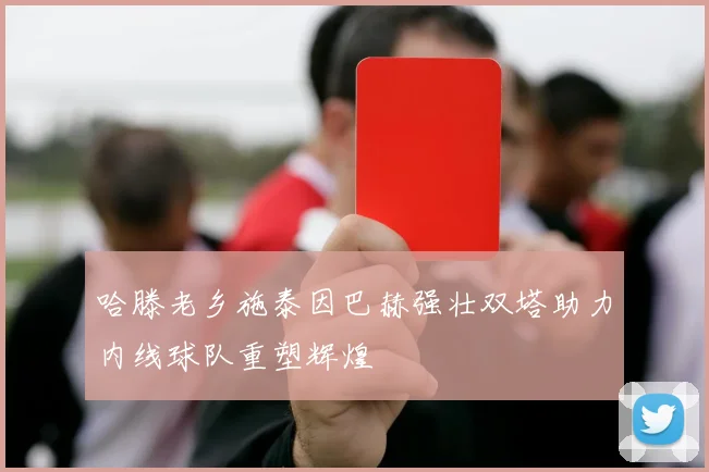 哈滕老乡施泰因巴赫强壮双塔助力内线球队重塑辉煌
